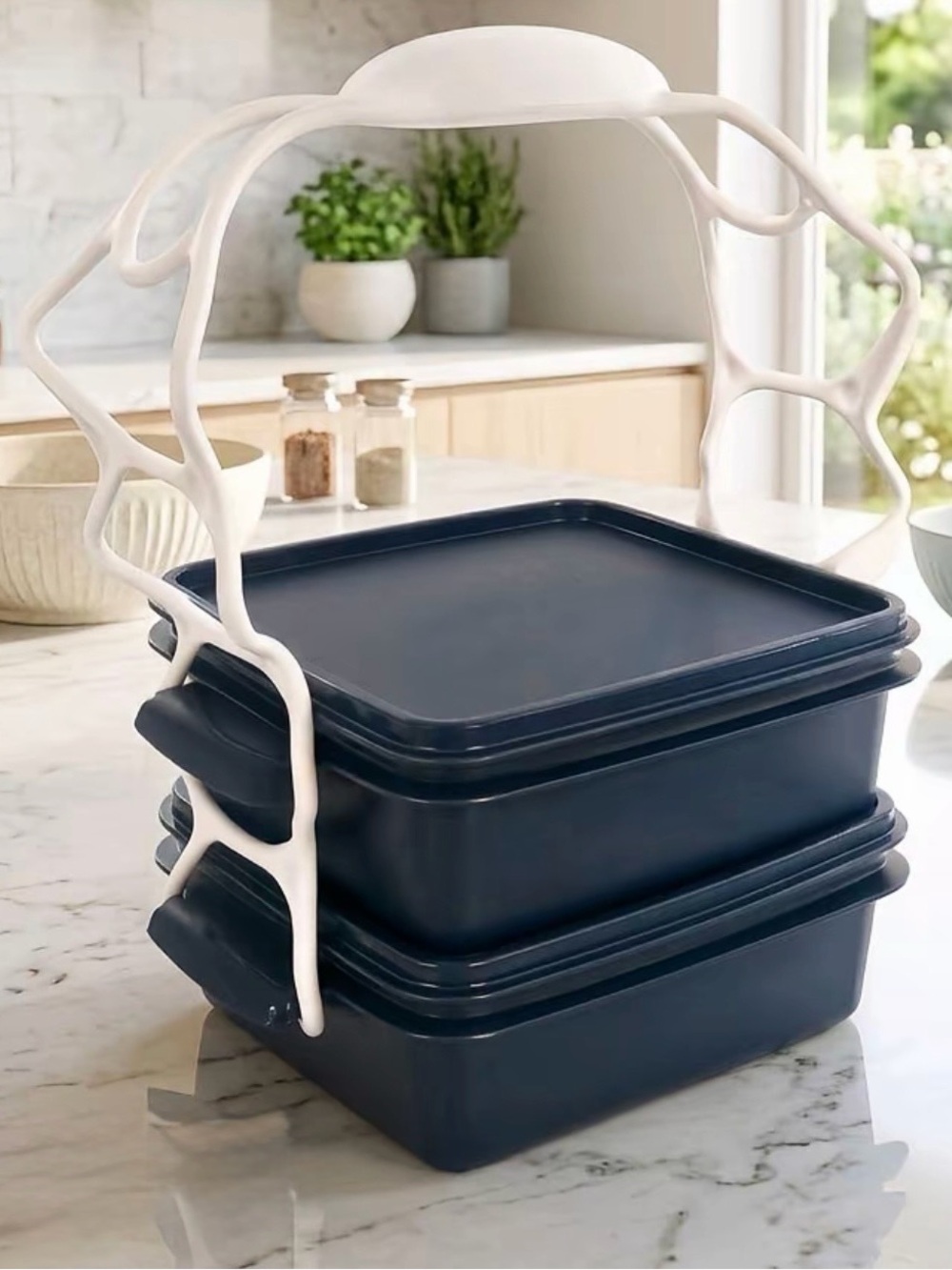 Tupperware Portavianda (2)